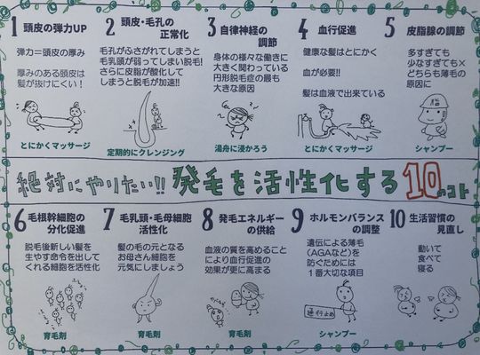 薄毛にならないための10のコト