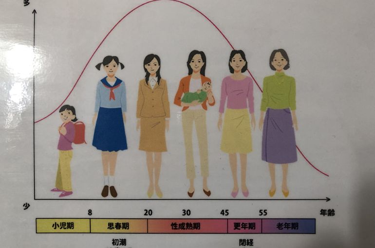 女性ホルモン