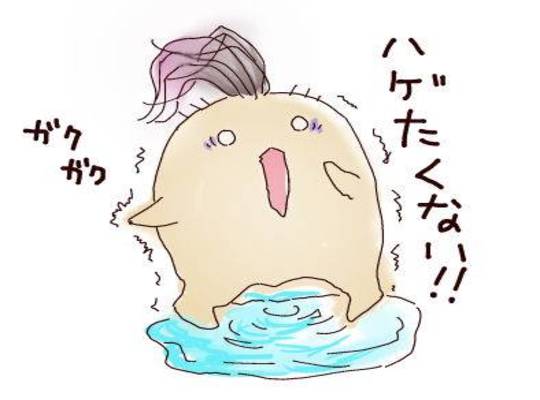 ハゲたくない