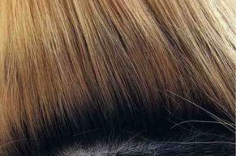 星野のムラカラー